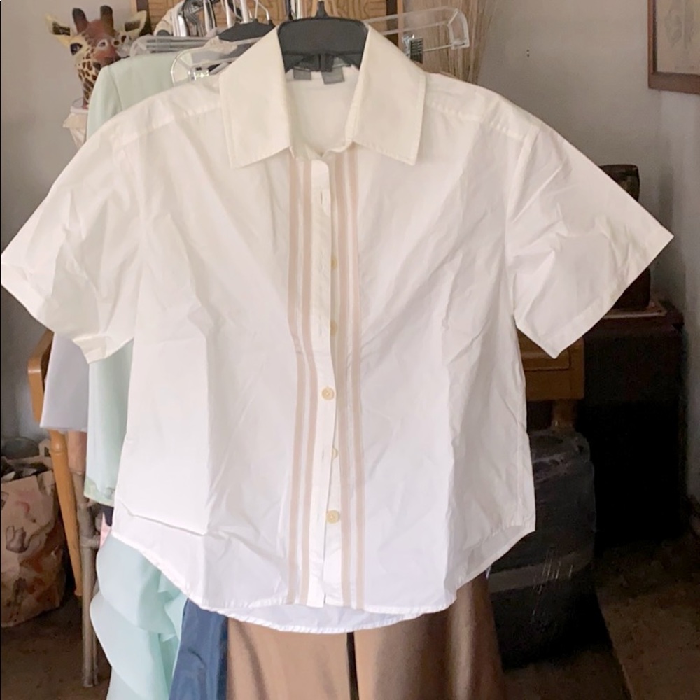 Proenza Schouler blouse.